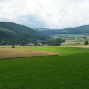 DSCF6223