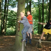 IMG 0778