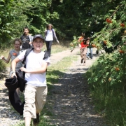 IMG 7562