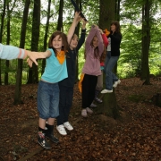 IMG 7954